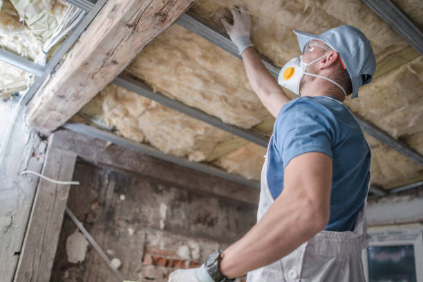 Types of Insulation We Offer in Lacey, WA